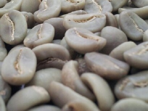 Arabica coffee beans