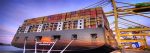 Sea Freight Service