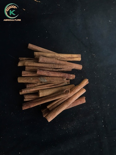Cigarette/Finger Cinnamon