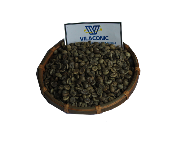 Arabica coffee beans