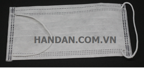 Antibacterial 4-Layer Mask