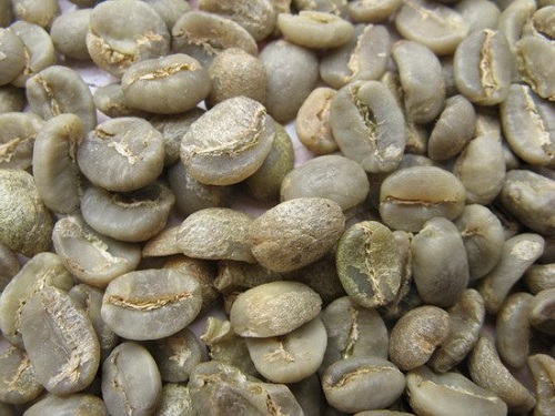 Arabica G1S16