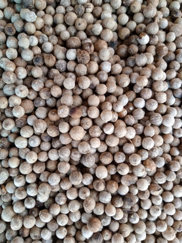 White Pepper