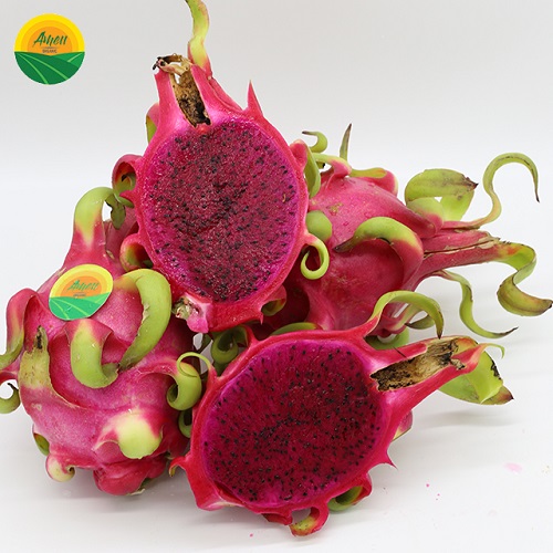 Red dragon fruit