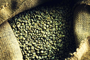 Arabica Coffee Beans