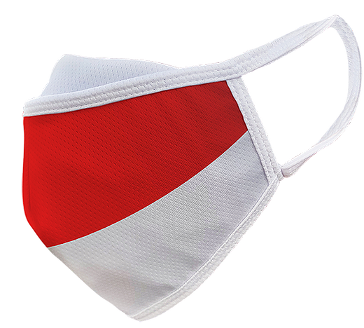 Antibacterial Cloth Mask