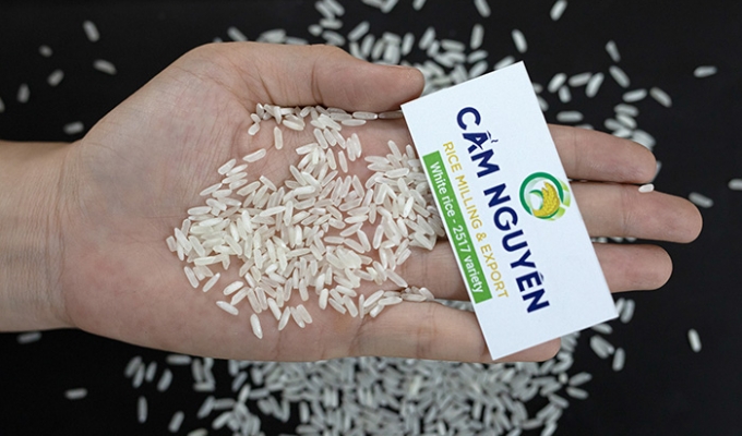2517 White Rice
