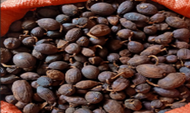 Cardamom