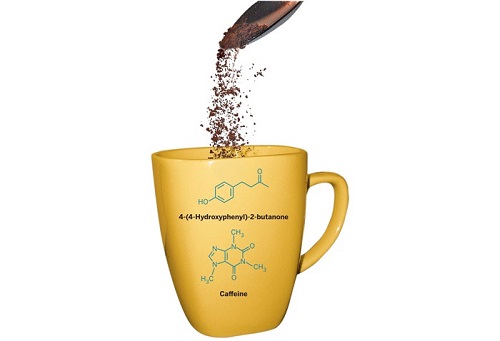 Instant Coffee Processing