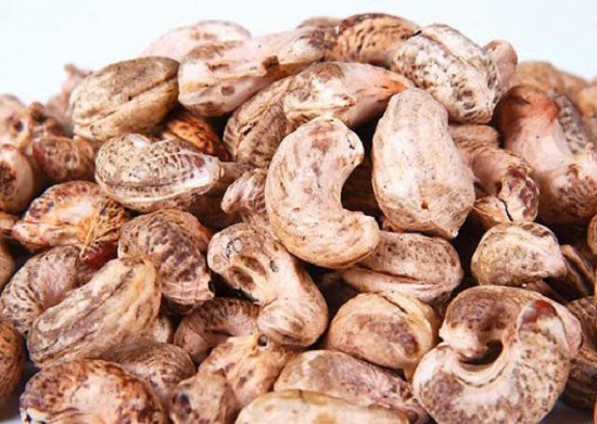 Raw cashew nuts in shells