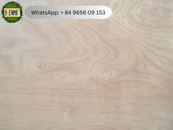 Okoume Plywood