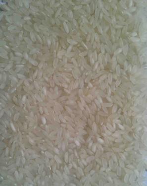 Vietnam Camolino Rice 5% Broken