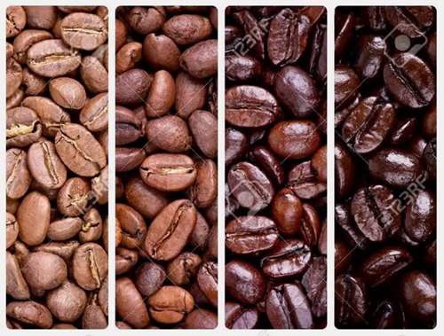 Coffee Roasting Processing