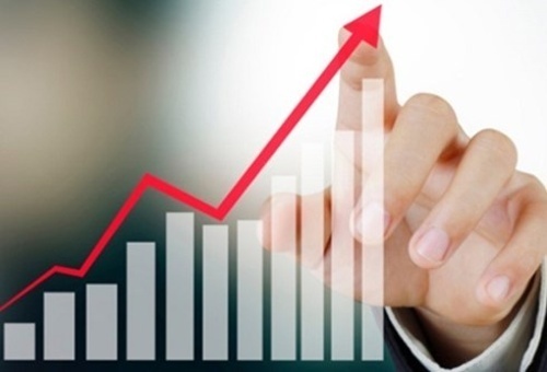 Custom Brokerage Service