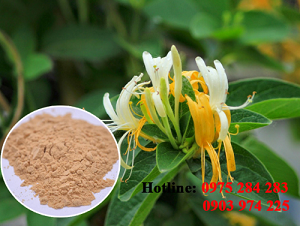 Honeysuckle Powder