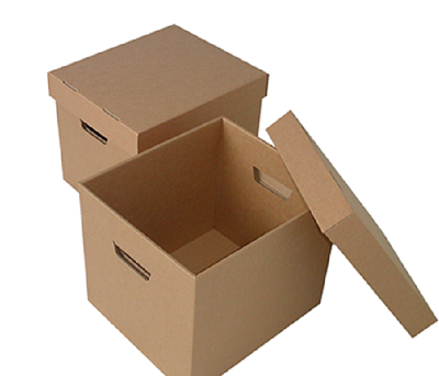 Archive Carton Box