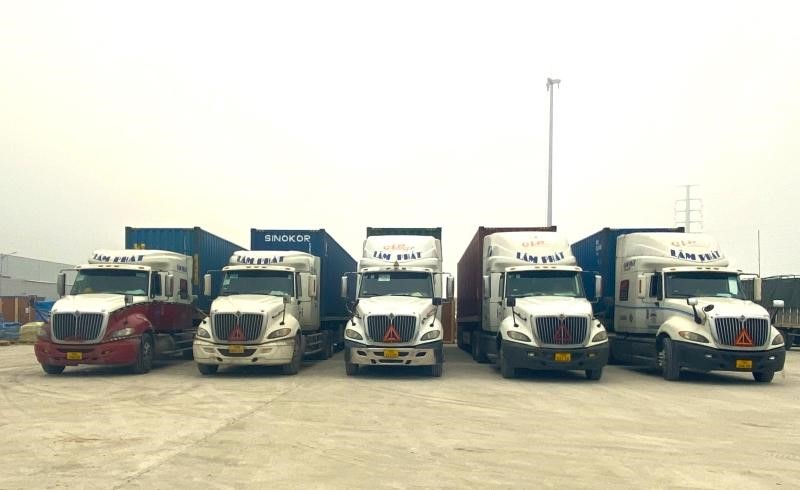Bulk Cargo Transportation