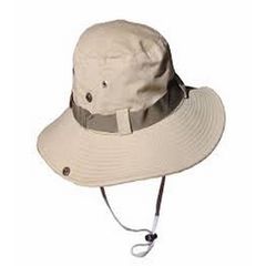 Labor Cap