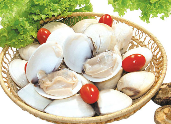 Clam