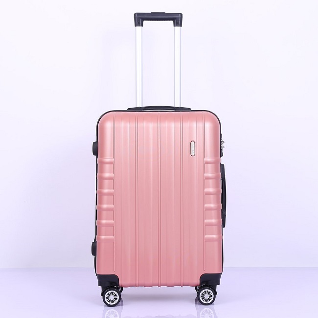 Paladi suitcase