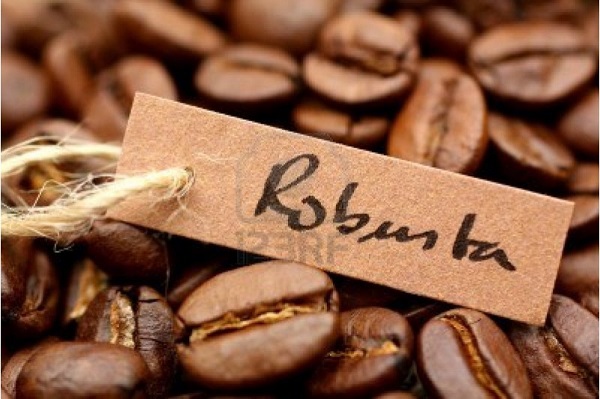 Robusta roasted coffee beans