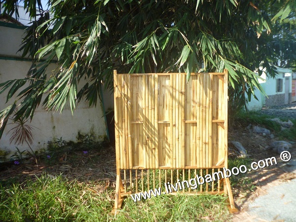 Cana Partition