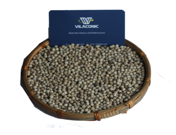 White pepper