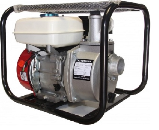 Fuel water pump