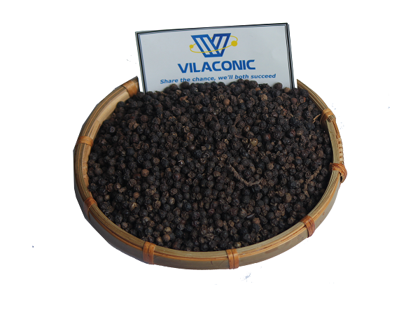 Black pepper