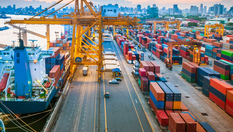 Sea Freight Service