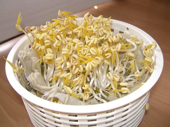 Bean sprouts