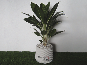 3D White Polystone Planter