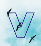 VIC International Container Transport Co., Ltd