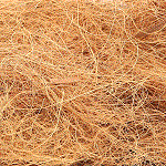 COCOISLAND CO., LTD