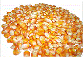 Danh Tuong Co., Ltd