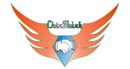 Chan Thanh Company Limited