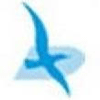 Daiya Technical Arts Viet Nam