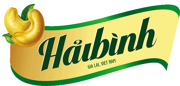 Hai Binh Gia Lai Cashew Nuts - Hai Binh Gia Lai Company