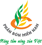 The Southern Fertilizer Company
