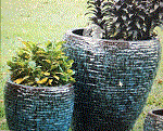 Tien Hung BP One Member Co., Ltd