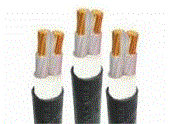 Dong Nam Electric Co., Ltd.