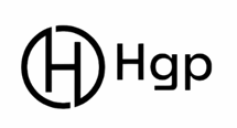 HGP Vietnam Import Export Production Trade Service Company Limited