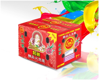 Fruit carton packaging