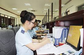 Customs service