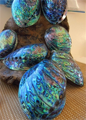 Mosaic jewelry made from mussel shells