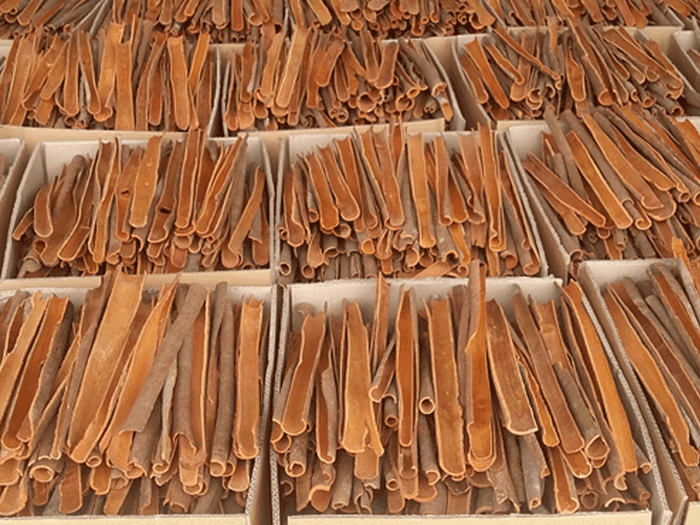 Incense