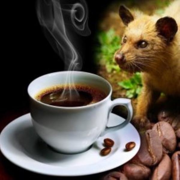 Weasel Coffee