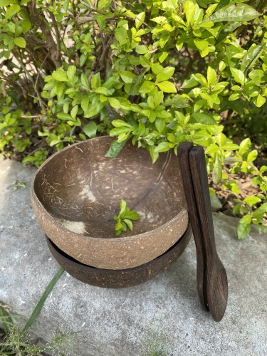 Coconut bowl
