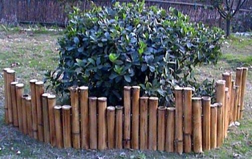 Bamboo Border