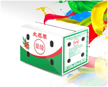 Fruit carton packaging